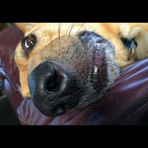 Meet your Posher, K l